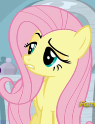 Size: 727x949 | Tagged: safe, screencap, fluttershy, g4, my little pony: friendship is magic, tanks for the memories, female, solo