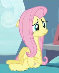 Size: 880x1080 | Tagged: safe, screencap, fluttershy, g4, tanks for the memories, female, solo