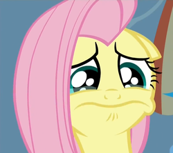 Size: 974x865 | Tagged: safe, screencap, fluttershy, g4, tanks for the memories, crying, female, solo, teary eyes