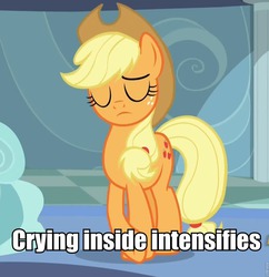 Size: 931x960 | Tagged: safe, screencap, applejack, earth pony, pony, g4, tanks for the memories, applejack cries on the inside, caption, crying inside, descriptive noise, female, image macro, meme, reaction image, solo, unhapplejack, x intensifies