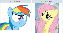 Size: 514x273 | Tagged: safe, fluttershy, rainbow dash, derpibooru, g4, exploitable meme, juxtaposition, juxtaposition win, meme, meta