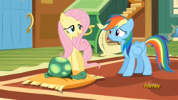 Size: 938x526 | Tagged: safe, screencap, fluttershy, rainbow dash, tank, g4, tanks for the memories, lidded eyes