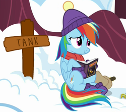 Size: 1203x1066 | Tagged: safe, edit, screencap, daring do, rainbow dash, tank, pegasus, pony, g4, tanks for the memories, book, cross, female, grave, implied death, mare, solo, we are going to hell