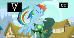 Size: 1024x533 | Tagged: safe, screencap, rainbow dash, tank, g4, my little pony: friendship is magic, tanks for the memories, image macro, meme, out of context, this will end in tears and/or death