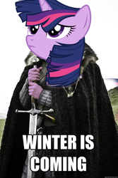 Size: 492x738 | Tagged: safe, twilight sparkle, g4, tanks for the memories, game of thrones, meme, spoiler, twilight starkle, windswept mane, winter is coming