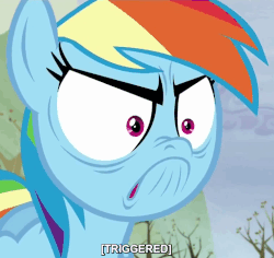 Size: 764x720 | Tagged: safe, screencap, rainbow dash, g4, tanks for the memories, animated, do i look angry, female, image macro, meme, solo, triggered