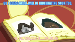 Size: 640x360 | Tagged: safe, edit, edited screencap, screencap, angel bunny, fluttershy, rainbow dash, bear, rabbit, g4, tanks for the memories, blue text, book, caption, discovery family logo, hibernation, image macro, meme