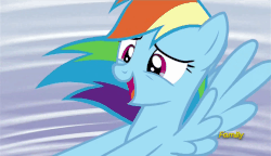 Size: 831x478 | Tagged: safe, screencap, rainbow dash, g4, tanks for the memories, animated, cute, dashabetes, female, girly, spinning