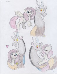 Size: 2550x3300 | Tagged: safe, artist:lacedra, discord, fluttershy, g4, female, high res, male, ship:discoshy, shipping, straight, traditional art