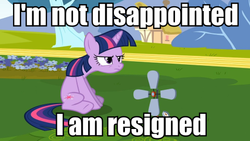 Size: 480x270 | Tagged: safe, edit, edited screencap, screencap, twilight sparkle, g4, bitter, female, grumpy twilight, image macro, meme, solo