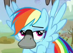 Size: 508x372 | Tagged: safe, screencap, rainbow dash, goose, g4, tanks for the memories, a dash of op, animal, rainbow goose
