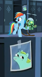 Size: 796x1440 | Tagged: safe, edit, edited screencap, screencap, rainbow dash, tank, whoa nelly, g4, tanks for the memories, fsjal, hilarious in hindsight, hoers, incidental pony, lockers, photo