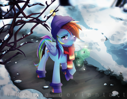 Size: 1000x778 | Tagged: safe, artist:lumelya, rainbow dash, tank, g4, my little pony: friendship is magic, tanks for the memories, sad, winter