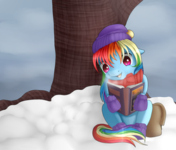 Size: 1000x850 | Tagged: safe, artist:seleneat, rainbow dash, g4, tanks for the memories, book, female, snow, solo, winter