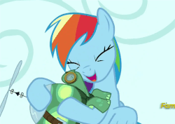 Size: 845x599 | Tagged: safe, screencap, rainbow dash, tank, g4, tanks for the memories, animated, cute, dashabetes, girly, hug, nuzzling