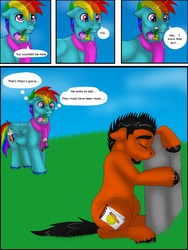 Size: 1200x1600 | Tagged: safe, artist:tristanjsolarez, rainbow dash, oc, earth pony, pegasus, pony, comic:trans ponies, g4, clothes, comic, flower, grave, gravestone, male, mouth hold, rainbow blitz, rule 63, scarf, stallion, transgender