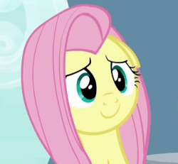 Size: 654x605 | Tagged: safe, screencap, fluttershy, g4, tanks for the memories, animated, blinking, cute, female