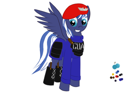 Size: 800x600 | Tagged: safe, artist:frecklesfanatic, oc, oc only, oc:night sky, pegasus, pony, fallout equestria, beret, boots, hat, security armor