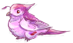 Size: 2407x1435 | Tagged: safe, artist:hodgson-kun, berry punch, berryshine, bird, g4, birdified, female, know your meme, ptarmigan, realistic, simple background, solo, species swap, white background