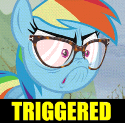Size: 324x320 | Tagged: safe, edit, edited screencap, screencap, rainbow dash, g4, tanks for the memories, angry, animated, do i look angry, duckery in the comments, female, frown, glare, glasses, hipster glasses, image macro, melody hensley, meme, pouting, rage, solo, triggered, tumblr, wide eyes