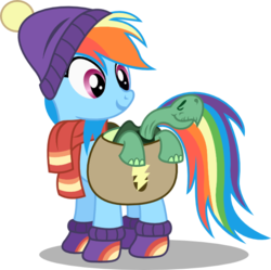 Size: 602x600 | Tagged: safe, artist:seahawk270, rainbow dash, tank, pegasus, pony, tortoise, g4, tanks for the memories, boots, clothes, cute, duo, hat, scarf, simple background, transparent background, vector, winter outfit