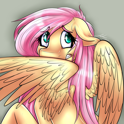 Size: 1280x1280 | Tagged: dead source, safe, artist:fatcakes, fluttershy, pegasus, pony, g4, female, solo