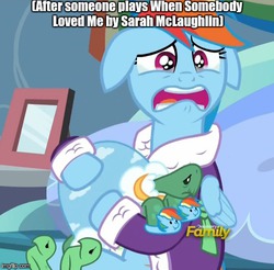Size: 490x482 | Tagged: safe, rainbow dash, tank, g4, tanks for the memories, clothes, dashie slippers, depression dash, image macro, meme, sad, sarah mclaughlin, tank slippers, toy story, toy story 2, when she loved me
