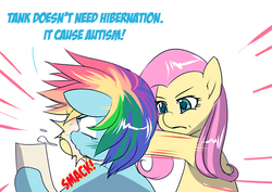 Size: 700x495 | Tagged: safe, artist:bakki, fluttershy, rainbow dash, pegasus, pony, g4, tanks for the memories, abuse, anti-vaxxers, autism, autistic fluttershy, bickering in the comments, dashabuse, engrish, female, frown, glare, insane troll logic, karma, mare, punch, slap, stupid, wat, wide eyes, wtf