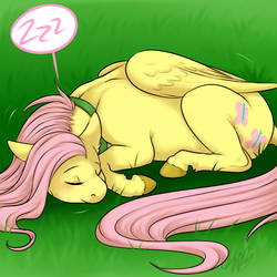 Size: 1000x1000 | Tagged: safe, artist:cartoonlion, fluttershy, oc, oc:futashy, pegasus, pony, g4, commission, intersex, sleeping, solo, zzz