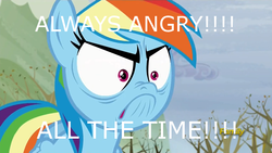 Size: 1280x720 | Tagged: safe, screencap, rainbow dash, pony, g4, tanks for the memories, angry, angry marines, crossover, do i look angry, glare, meme, solo, warhammer (game), warhammer 40k