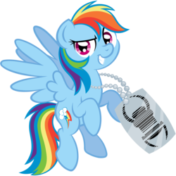 Size: 2880x2880 | Tagged: safe, artist:wildtiel, rainbow dash, g4, female, high res, simple background, solo, transparent background, vector