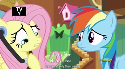 Size: 1279x712 | Tagged: safe, screencap, fluttershy, rainbow dash, g4, tanks for the memories, meme, youtube caption