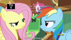 Size: 1279x715 | Tagged: safe, screencap, fluttershy, rainbow dash, g4, tanks for the memories, meme, youtube caption