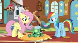 Size: 1281x713 | Tagged: safe, screencap, fluttershy, rainbow dash, tank, g4, tanks for the memories, meme, youtube caption