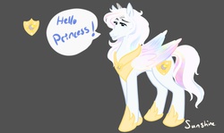 Size: 991x589 | Tagged: safe, oc, oc only, oc:sunshine, pegasus, pony, fake alicorn, fake horn, guard, male, rainbow, solo, stallion, white