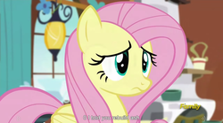 Size: 1280x713 | Tagged: safe, screencap, fluttershy, g4, my little pony: friendship is magic, tanks for the memories, meme, youtube caption