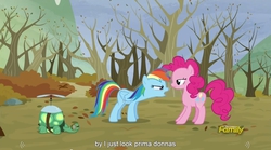 Size: 1279x712 | Tagged: safe, screencap, pinkie pie, rainbow dash, tank, g4, my little pony: friendship is magic, tanks for the memories, meme, youtube caption