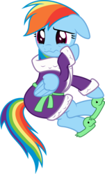 Size: 6045x10001 | Tagged: safe, artist:salemcat, rainbow dash, g4, tanks for the memories, absurd resolution, bathrobe, clothes, crying, female, rainbow dash always dresses in style, show accurate, simple background, solo, tank slippers, transparent background, vector
