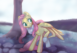 Size: 4224x2938 | Tagged: safe, artist:aisuroma, fluttershy, g4, bento, clothes, female, mouth hold, shade, socks, solo