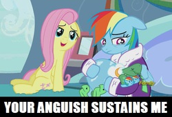 Size: 500x340 | Tagged: safe, edit, edited screencap, screencap, fluttershy, rainbow dash, tank, g4, tanks for the memories, bathrobe, clothes, dashie slippers, family guy, male, robe, stewie griffin, tank slippers