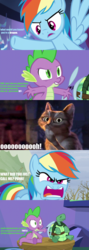 Size: 800x2250 | Tagged: safe, edit, edited screencap, screencap, rainbow dash, spike, tank, cat, tortoise, g4, tanks for the memories, angry, comic, curse cut short, cussing, fight, funny, puss-in-boots