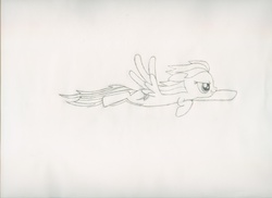 Size: 3501x2550 | Tagged: safe, artist:j4m35c, rainbow dash, g4, female, flying, high res, monochrome, solo, traditional art