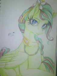 Size: 1024x1365 | Tagged: safe, artist:starshinethealicorn, oc, oc only, pegasus, pony, photo, solo, traditional art