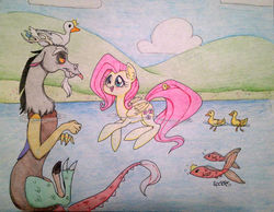 Size: 1337x1039 | Tagged: safe, artist:ameliacostanza, discord, fluttershy, duck, fish, g4, female, male, ship:discoshy, shipping, straight, swimming, traditional art