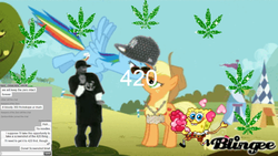 Size: 1600x900 | Tagged: safe, applejack, rainbow dash, g4, 420, blaze it, blingee, drugs, exploitable meme, male, meme, numbers, snoop dogg, spongebob squarepants, spongebob squarepants (character)