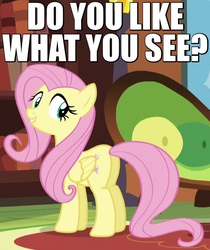 Size: 525x625 | Tagged: safe, edit, edited screencap, screencap, fluttershy, pony, g4, tanks for the memories, bronybait, butt, caption, cute, female, flirting, image macro, looking at you, looking back, mare, meme, plot, shyabetes, smiling, solo