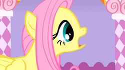 Size: 1366x768 | Tagged: safe, screencap, fluttershy, g4, my little pony: friendship is magic, suited for success, exploitable meme, female, meme, solo