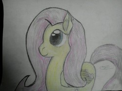 Size: 1280x960 | Tagged: safe, artist:gallifreyanequine, fluttershy, g4, crayon drawing, traditional art