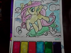 Size: 1280x960 | Tagged: safe, artist:gallifreyanequine, fluttershy, g4, merchandise, traditional art, watercolor painting