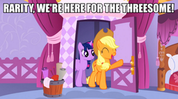 Size: 985x550 | Tagged: safe, edit, edited screencap, screencap, applejack, twilight sparkle, earth pony, pony, unicorn, g4, suited for success, duo, female, image macro, implied rarity, implied sex, implied threesome, meme, shipping